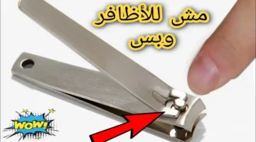 7 استخدامات غير متوقعة.. اكتشف أسرار «قصافة الأظافر» بعيدًا عن العناية الشخصية 1